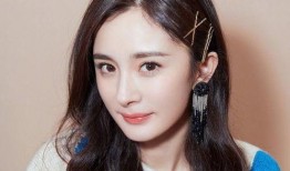 明星图片 网,明星风采瞬间捕捉