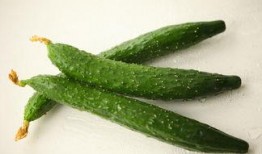 黄瓜c 每日大赛,竞技与创新的舞台